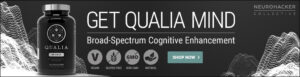 Qualia Mind