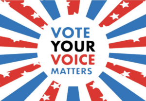 Vote Your Voice Matters (VYVM) campaign